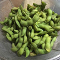 ちゃぎー's cooksnap of when they made おつまみに！簡単美味しい枝豆の茹で方.