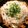niccco's cooksnap of when they made 【簡単】豚肉と豆苗ともやし蒸し.