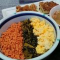 2児ママみきてぃ's cooksnap of when they made 第２６６の隷使緋：サケノサンショクエル.
