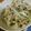 低カロ探検隊's cooksnap of when they made もやし＆ブロッコリースプラウトのサラダ.