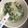 REDS83's cooksnap of when they made 離乳食 中期 鮭とブロッコリーのミルク粥.