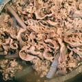 ま‎⑅⃝り's cooksnap of when they made めんつゆで♪牛肉とごぼうの簡単しぐれ煮.