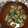 ぽぽきゅ's cooksnap of when they made 漁師風 あさりの酒蒸し.