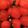 yms_01's cooksnap of when they made さっぱり♪トマトと玉ねぎの大葉マリネ.