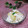 めみたん☆'s cooksnap of when they made 胡桃たっぷり白和えのもと.