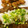 COOKVOC's cooksnap of when they made わさびが香る和風おろしステーキソース.