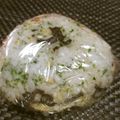 ジョングレ's cooksnap of when they made 塩昆布・天かす・青のりの、大きいおむすび.