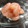 はなちゃん1号's cooksnap of when they made 簡単おつまみ☆甘エビの塩こうじ和え.
