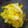 むぅちょ's cooksnap of when they made うちのさっぱり白菜.