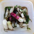 かっぱのごはん's cooksnap of when they made 塩昆布で作る♪ミニ大根の簡単漬物.