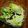 greentmt's cooksnap of when they made レタスと海苔の味ぽん和え♪.
