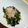 ぽぷらまま's cooksnap of when they made ＊ダイエット＊ポン酢ｄｅわかめ.