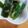 ＠すみれちゃん's cooksnap of when they made いわきの長ねぎとわかめの酢味噌和え.