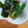 ＠すみれちゃん's cooksnap of when they made いわきの長ねぎとわかめの酢味噌和え.
