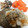 のりたんパパ's cooksnap of when they made 豚とごぼうの和風おろしハンバーグ.