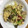 クックYC199X☆'s cooksnap of when they made ごま油が効いてる！しめじと白菜の中華炒め.