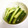 お腹いっぱい＠'s cooksnap of when they made 簡単！中華風きゅうりの浅漬け.
