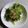 みきぴっぴ★'s cooksnap of when they made 純正ごま油 濃口でシンプル豆苗塩炒め.