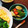 ぐうたら主婦みん's cooksnap of when they made ＊夏野菜の揚げ浸し＊.