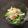 Amalka's cooksnap of when they made 糸こんにゃくで！冷やし中華風和え物.