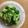 よーはるまー's cooksnap of when they made ブロッコリーのゆかり和え.