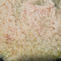 ｑｕｉｃｏ's cooksnap of when they made ホワイトアスパラのシンプルリゾット.