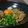 ダイナマイト漆黒's cooksnap of when they made 絶品！！☆冷やおろし納豆蕎麦☆.