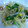モコチャミ's cooksnap of when they made もやしとニラの塩炒め★.