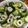 クック9P6O5D☆'s cooksnap of when they made つまみに◎竹輪ときゅうりのニンニク和え.