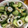 クック9P6O5D☆'s cooksnap of when they made つまみに◎竹輪ときゅうりのニンニク和え.