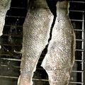 なりゅうママ's cooksnap of when they made パリッと香ばしい！鯛の皮せんべい.