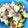 y_u♡'s cooksnap of when they made 豚バラ肉ときゃべつのオイマヨしょうゆ炒め.