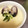 みきも's cooksnap of when they made あさりの茶碗蒸し.