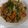 クック1RGW9S☆'s cooksnap of when they made 牛肉のプルコギ風.