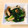 ♡rarichan♡'s cooksnap of when they made しめじとほうれん草の和え物.