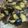 クックZ4AQ75☆'s cooksnap of when they made なすと鶏肉の味噌炒め.