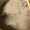 yuuuuuushi's cooksnap of when they made 豆乳＆舞茸❁食べるスープ❁味噌汁.