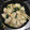 Haruca☆'s cooksnap of when they made 鶏むね肉ときゅうりのねぎ塩炒め.