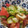 ミツバチぷ〜's cooksnap of when they made 簡単きゅうりの酢の物.