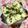 ぽぽきゅ's cooksnap of when they made 海苔・紫蘇香る❀枝豆×茹で卵のトースト.