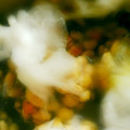 ひかる♪'s cooksnap of when they made ローソン風　豆とひじきの和風サラダ.