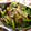 ☆Rokko☆'s cooksnap of when they made さっぱり♪ほうれん草とひじきの胡麻和え.