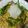 クックJIFW0J☆'s cooksnap of when they made 豚しゃぶゴマだれ和風パスタ.