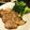 ecobeer's cooksnap of when they made 超かんたん！圧力鍋で１０分の紅茶豚.