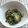 kyoko＊k's cooksnap of when they made しらす☆きゅうり☆わかめの酢の物.