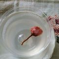 ミイちゃん大好き's cooksnap of when they made ♡春爛漫♡　桜ゼリー.
