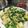 seacomet's cooksnap of when they made モロヘイヤのツナマヨカレーポテトサラダ☆.