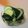ぽっぽぺぺ's cooksnap of when they made 胡瓜のカラシ漬け.