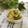 ぽっぽぺぺ's cooksnap of when they made ポテトサラダ.