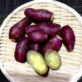 horseland's cooksnap of when they made 蒸しさつまいも.